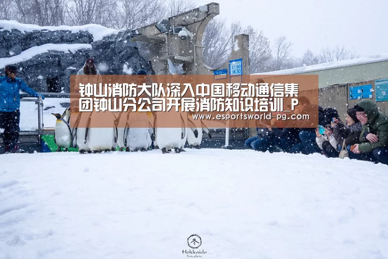 钟山消防大队深入中国移动通信集团钟山分公司开展消防知识培训_PG体育(图1) PG电竞