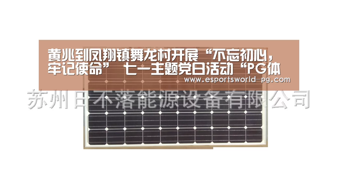 黄兆到凤翔镇舞龙村开展“不忘初心,牢记使命” 七一主题党日活动“PG体育”(图2) PG地址