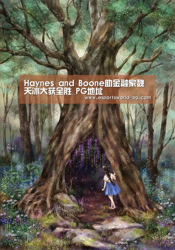 Haynes and Boone助金融家魏天冰大获全胜_PG地址(图1) PG地址