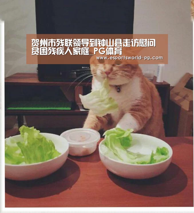 贺州市残联领导到钟山县走访慰问贫困残疾人家庭_PG体育(图4) PG老虎机