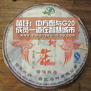 苗圩:中方愿与G20成员一道在智慧城市领域开展务实交流与合作_PG体育(图1) PG电竞