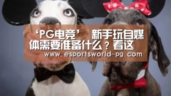 ‘PG电竞’
新手玩自媒体需要准备什么?看这里 手把手带你做自媒体!(图2) PG电竞