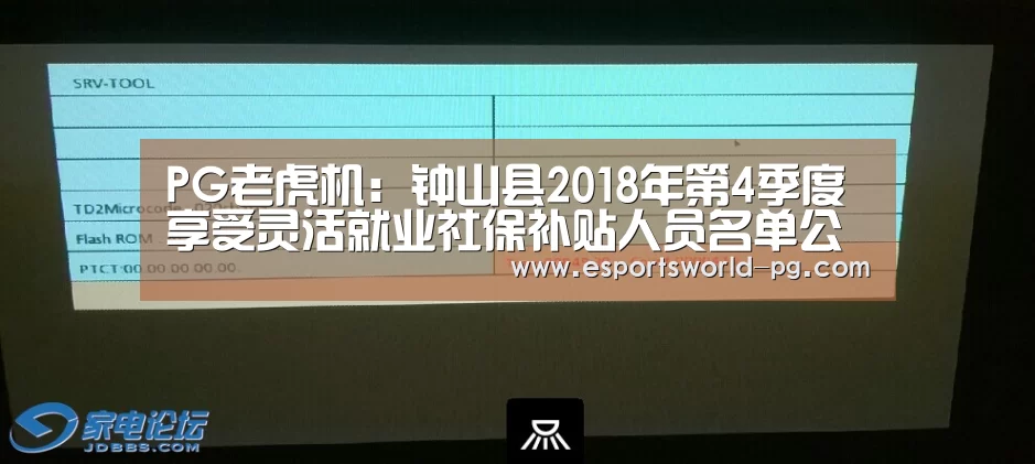 PG老虎机:钟山县2018年第4季度享受灵活就业社保补贴人员名单公示(图2) PG体育