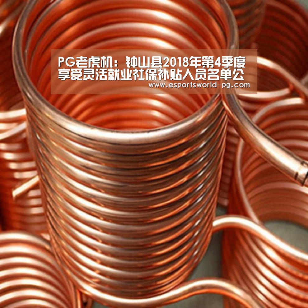 PG老虎机:钟山县2018年第4季度享受灵活就业社保补贴人员名单公示(图3) PG体育