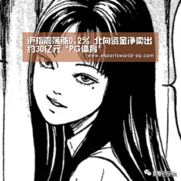 沪指震荡涨0.2% 北向资金净卖出约30亿元‘PG体育’(图3) PG电竞