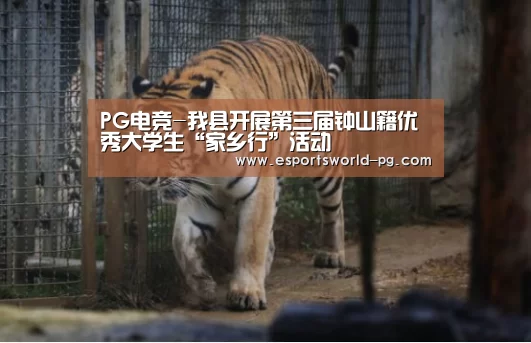 PG电竞-我县开展第三届钟山籍优秀大学生“家乡行”活动(图4) PG电竞